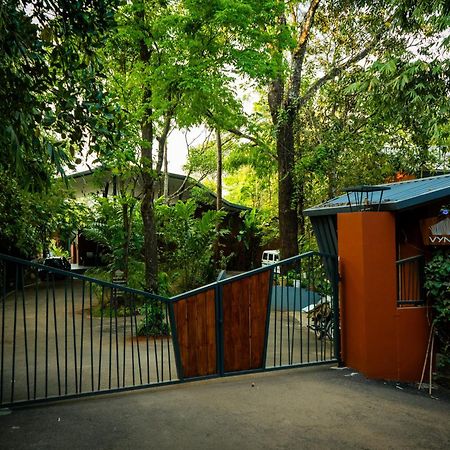 Vyna Hillock Resort And Spa Vythiri Exterior photo