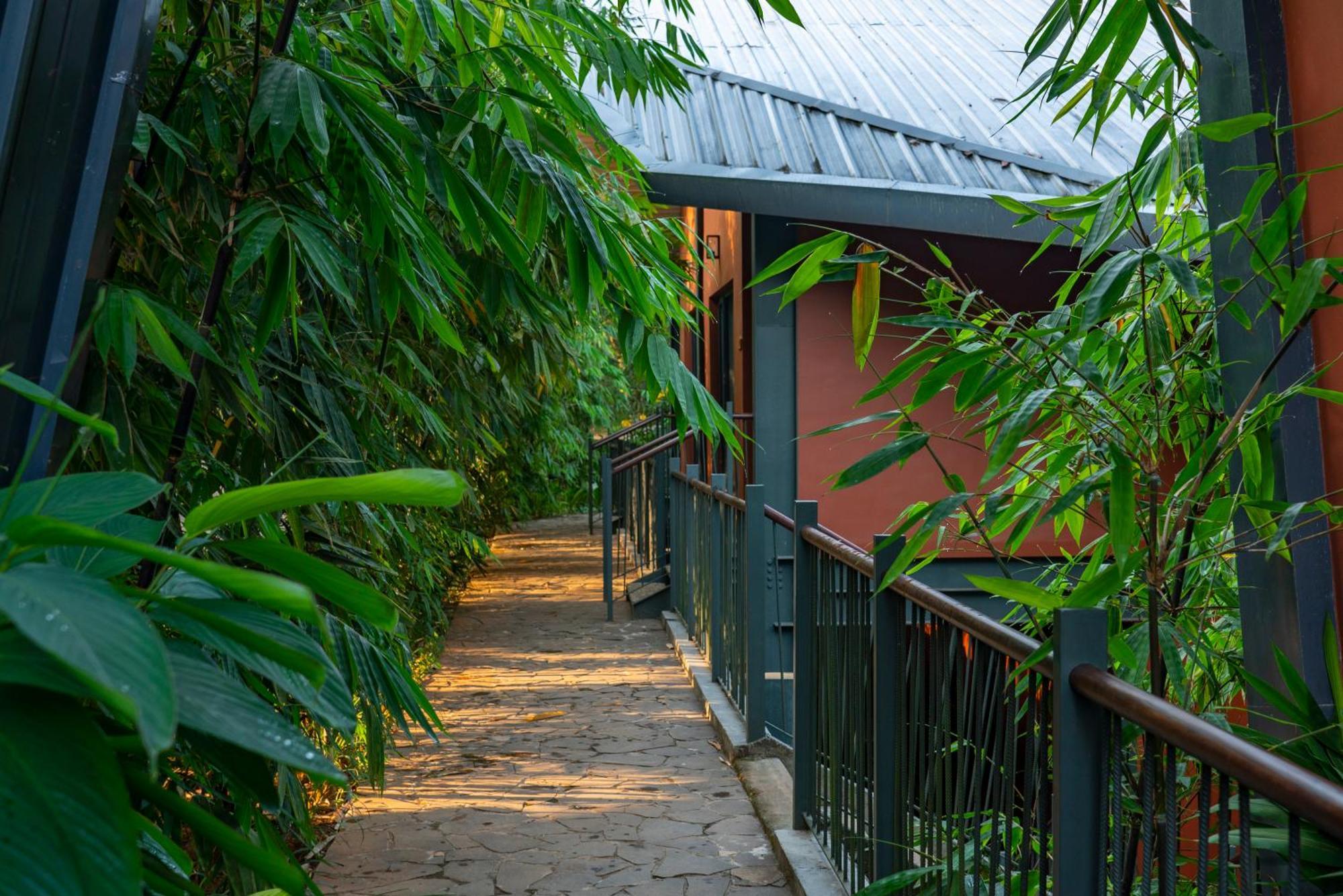 Vyna Hillock Resort And Spa Vythiri Exterior photo